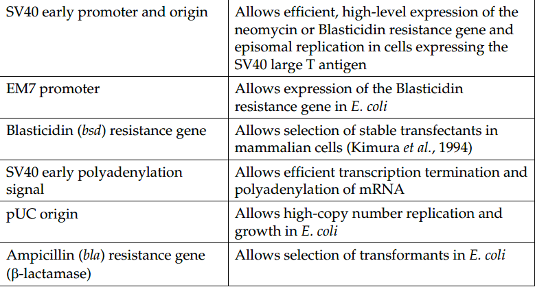 pcDNA6.2-V5-PL-DEST 载体特征2